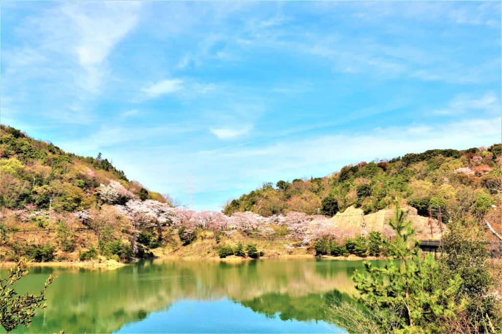 自然と遊びと絶景を満喫！熊取町「ゆめの森公園」と「永楽ダム」を巡るおでかけコース