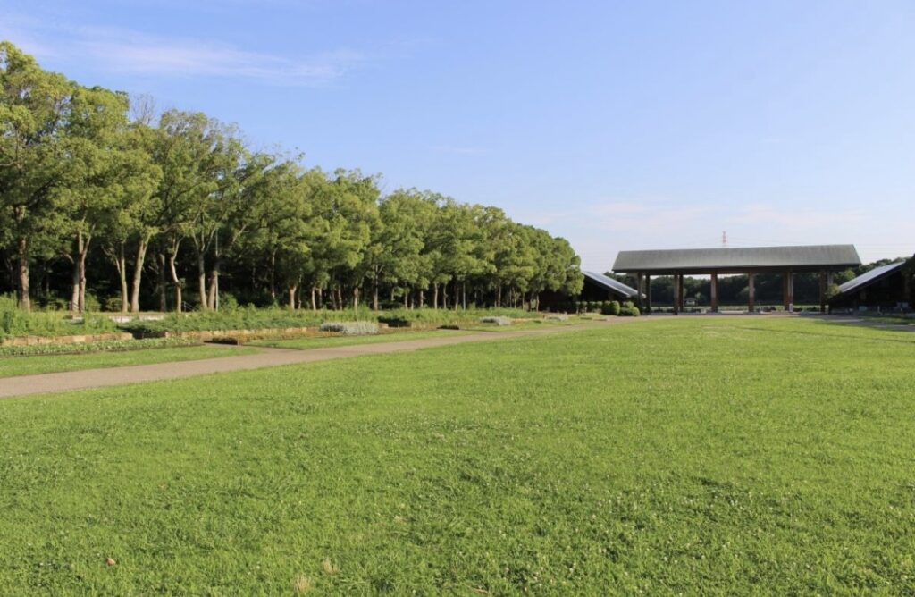 大泉緑地公園は子連れファミリーにぴったり！一日楽しめる大阪・堺の大型公園