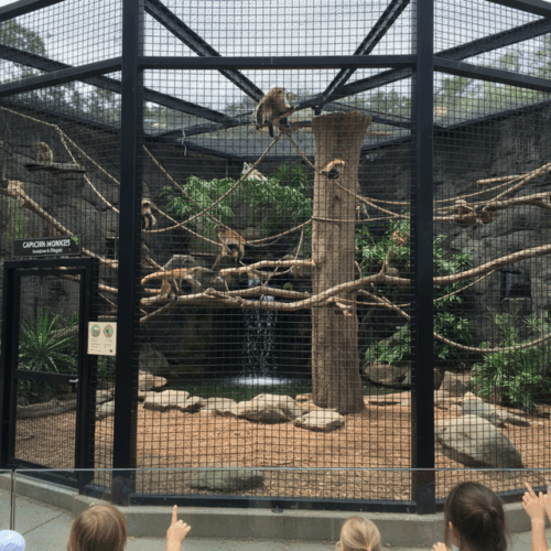 大浜公園のイメージ